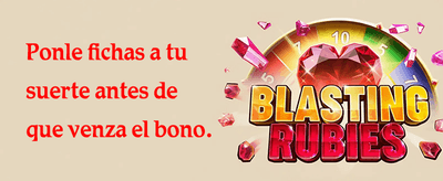Promoción Referido
